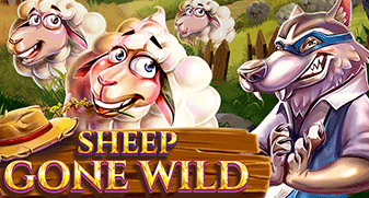 Sheep Gone Wild 
