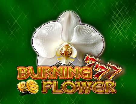 Burning Flower