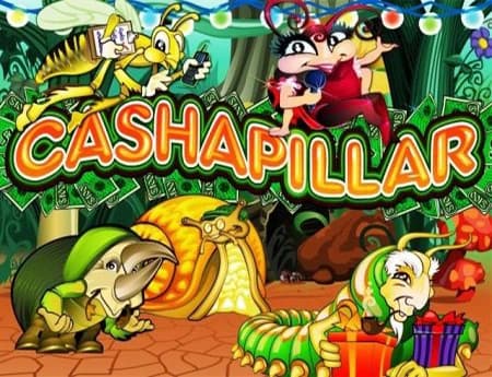 Cashapillar