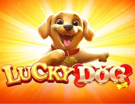 Lucky Dog