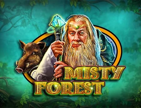 Misty Forest
