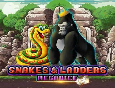 Snakes and Ladders Megadice